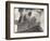 Guardian of Law, Statue Created by Sculptor James Earle Fraser Outside the Supreme Court Building-Margaret Bourke-White-Framed Photographic Print