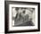 Guardian of Law, Statue Created by Sculptor James Earle Fraser Outside the Supreme Court Building-Margaret Bourke-White-Framed Photographic Print