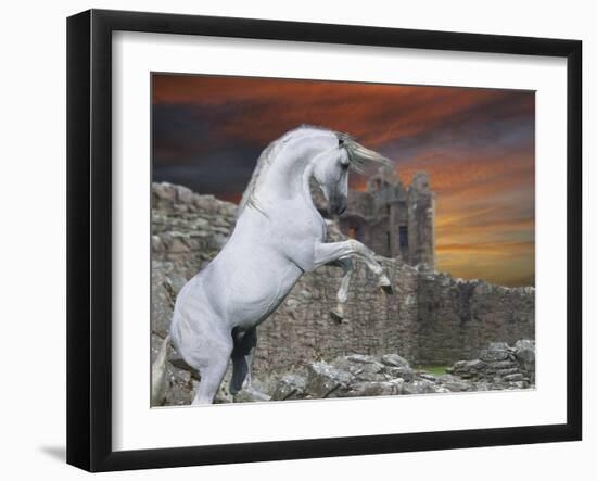 Guardian of the Castle-Bob Langrish-Framed Photographic Print