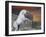 Guardian of the Castle-Bob Langrish-Framed Photographic Print