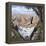 Guardians of the Canyon-John Van Straalen-Framed Premier Image Canvas