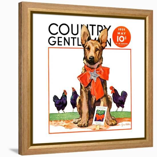 "Guarding the Garden," Country Gentleman Cover, May 1, 1935-Jene Klebe-Framed Premier Image Canvas