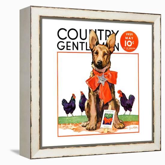 "Guarding the Garden," Country Gentleman Cover, May 1, 1935-Jene Klebe-Framed Premier Image Canvas