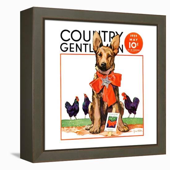 "Guarding the Garden," Country Gentleman Cover, May 1, 1935-Jene Klebe-Framed Premier Image Canvas