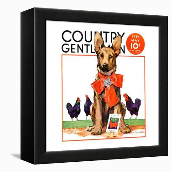 "Guarding the Garden," Country Gentleman Cover, May 1, 1935-Jene Klebe-Framed Premier Image Canvas