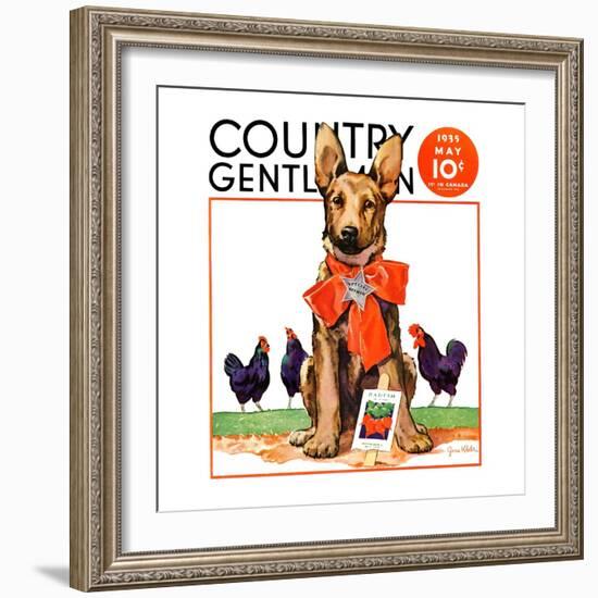 "Guarding the Garden," Country Gentleman Cover, May 1, 1935-Jene Klebe-Framed Giclee Print