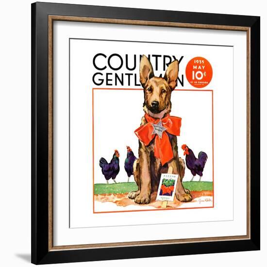 "Guarding the Garden," Country Gentleman Cover, May 1, 1935-Jene Klebe-Framed Giclee Print