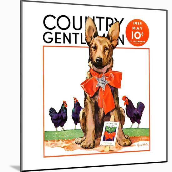 "Guarding the Garden," Country Gentleman Cover, May 1, 1935-Jene Klebe-Mounted Giclee Print