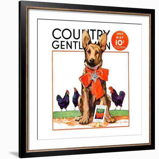 "Guarding the Garden," Country Gentleman Cover, May 1, 1935-Jene Klebe-Framed Giclee Print