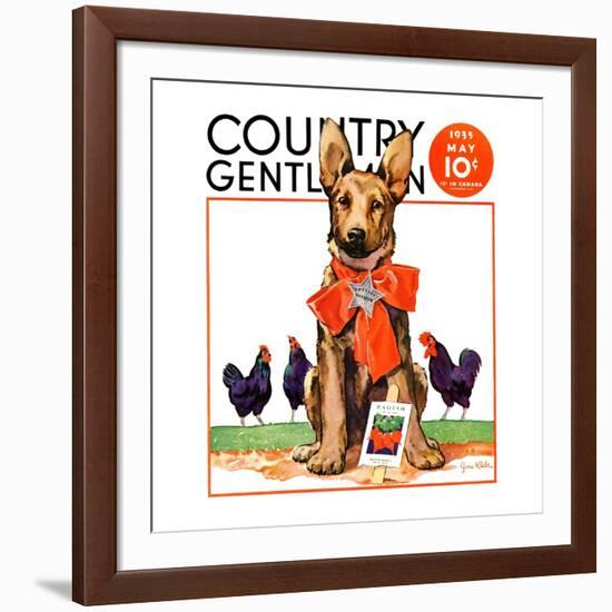 "Guarding the Garden," Country Gentleman Cover, May 1, 1935-Jene Klebe-Framed Giclee Print