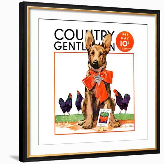 "Guarding the Garden," Country Gentleman Cover, May 1, 1935-Jene Klebe-Framed Giclee Print