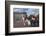 Guards Officer and Escort Awaiting Guards Detachments Outside Buckingham Palace-James Emmerson-Framed Photographic Print