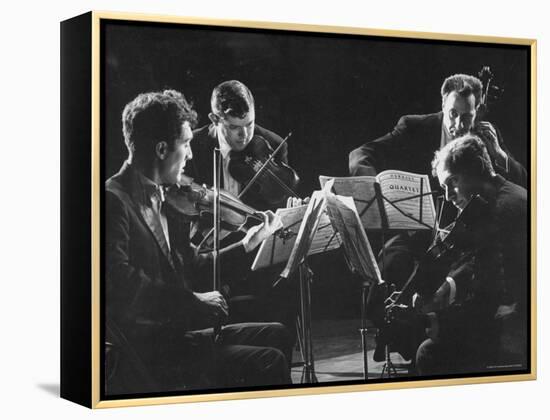 Guarneri Quartet: Arnold Steinhardt, John Daley, Michael Tree and David Soyer-Gjon Mili-Framed Premier Image Canvas
