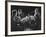 Guarneri Quartet: Arnold Steinhardt, John Daley, Michael Tree and David Soyer-Gjon Mili-Framed Premium Photographic Print