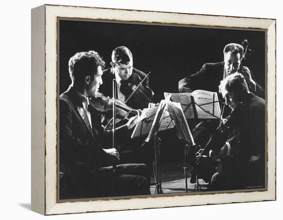 Guarneri Quartet: Arnold Steinhardt, John Daley, Michael Tree and David Soyer-Gjon Mili-Framed Premier Image Canvas