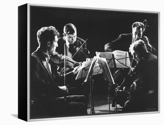 Guarneri Quartet: Arnold Steinhardt, John Daley, Michael Tree and David Soyer-Gjon Mili-Framed Premier Image Canvas