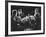 Guarneri Quartet: Arnold Steinhardt, John Daley, Michael Tree and David Soyer-Gjon Mili-Framed Premium Photographic Print