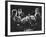 Guarneri Quartet: Arnold Steinhardt, John Daley, Michael Tree and David Soyer-Gjon Mili-Framed Premium Photographic Print