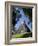 Guatemala, El Peten, Tikal, Gran Plaza, Temple of the Great Jaguar-Jane Sweeney-Framed Photographic Print