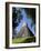 Guatemala, El Peten, Tikal, Gran Plaza, Temple of the Great Jaguar-Jane Sweeney-Framed Photographic Print