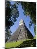 Guatemala, El Peten, Tikal, Gran Plaza, Temple of the Great Jaguar-Jane Sweeney-Mounted Photographic Print