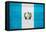Guatemala Flag Design with Wood Patterning - Flags of the World Series-Philippe Hugonnard-Framed Stretched Canvas