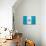 Guatemala Flag Design with Wood Patterning - Flags of the World Series-Philippe Hugonnard-Art Print displayed on a wall