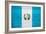 Guatemala Flag Design with Wood Patterning - Flags of the World Series-Philippe Hugonnard-Framed Art Print