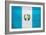 Guatemala Flag Design with Wood Patterning - Flags of the World Series-Philippe Hugonnard-Framed Art Print