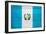 Guatemala Flag Design with Wood Patterning - Flags of the World Series-Philippe Hugonnard-Framed Art Print