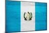 Guatemala Flag Design with Wood Patterning - Flags of the World Series-Philippe Hugonnard-Mounted Art Print