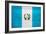 Guatemala Flag Design with Wood Patterning - Flags of the World Series-Philippe Hugonnard-Framed Art Print