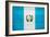 Guatemala Flag Design with Wood Patterning - Flags of the World Series-Philippe Hugonnard-Framed Art Print