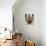 Guatemala: Mayan Vase-null-Photographic Print displayed on a wall