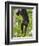 Guatemalan Black Howler Monkey (Alouatta Pigra) Climbing-Kevin Schafer-Framed Photographic Print