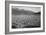 Guayule Field-Ansel Adams-Framed Art Print