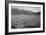 Guayule Field-Ansel Adams-Framed Art Print