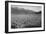 Guayule Field-Ansel Adams-Framed Art Print