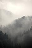 Fog Covering The Mountain Forests-Gudella-Framed Premium Giclee Print