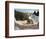 Guell Park (Parc Guell), UNESCO World Heritage Site, Barcelona, Catalunya (Catalonia), Spain-Nico Tondini-Framed Photographic Print