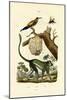 Guenon, 1833-39-null-Mounted Giclee Print