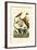 Guenon, 1833-39-null-Framed Giclee Print