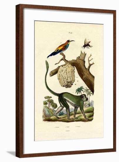 Guenon, 1833-39-null-Framed Giclee Print