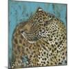 Guepard-Solveiga-Mounted Giclee Print