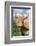 Guernsey Cow-null-Framed Photographic Print