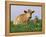 Guernsey Cows, at Rest in Field, Illinois, USA-Lynn M^ Stone-Framed Premier Image Canvas