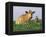 Guernsey Cows, at Rest in Field, Illinois, USA-Lynn M^ Stone-Framed Premier Image Canvas