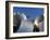 Guggenheim Museum, Bilbao, Euskal Herria, Euskadi, Spain, Europe-Ben Pipe-Framed Photographic Print