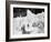 Guide Taking Tourists Through the Pinnacles and Crevices on Fox Glaciers-null-Framed Photographic Print