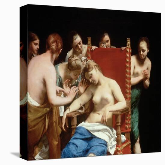 Stretched Canvas Print, , large